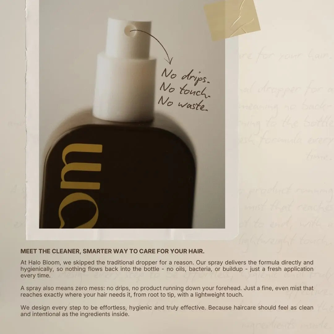 Halo Bloom Signature Set Gift Bundle the Secret Abloomdant Arcadia Hair Oil Serum Brush Set for Festive Hair Care